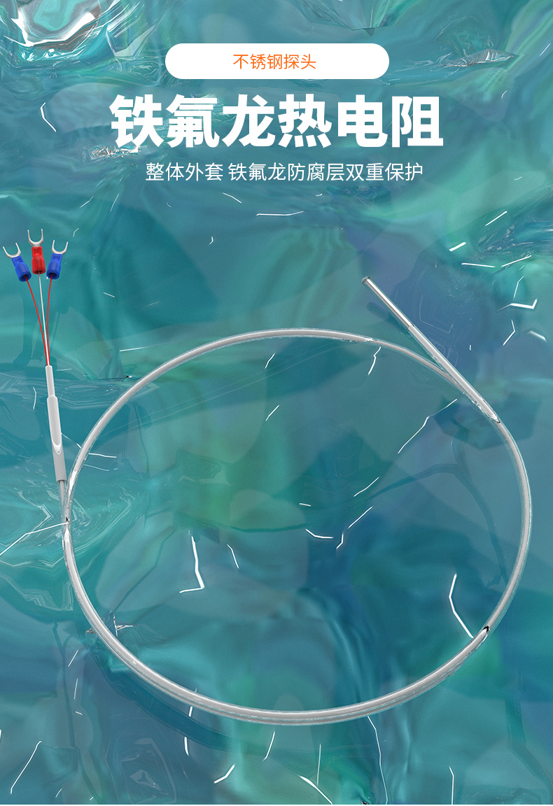 鐵氟龍熱電阻12_http://m.tlide.cn_溫度儀表_第4張